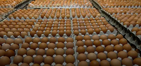 agri-images